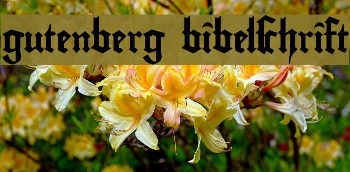gutenberg bibelschrift Font examples