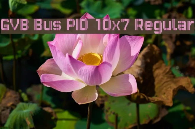 GVB Bus PID 10x7 Regular Example 3