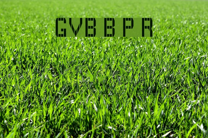 GVB Bus Pid Regular Font examples