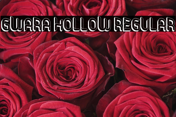 Gwara Hollow Regular Example 2