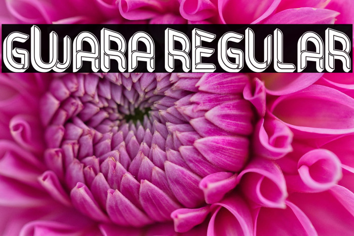 Gwara Regular Example 2