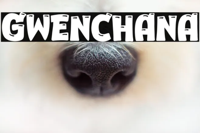 Gwenchana Example 3