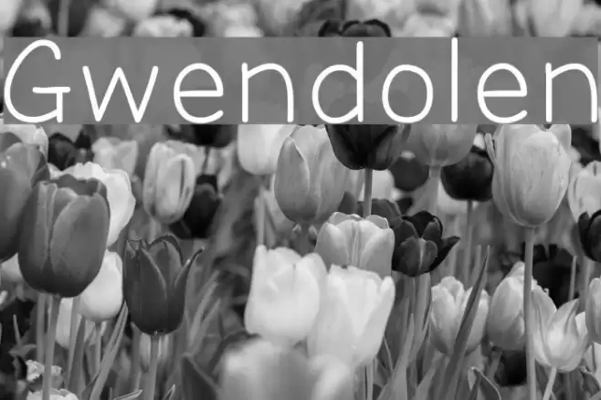 Gwendolen Font examples