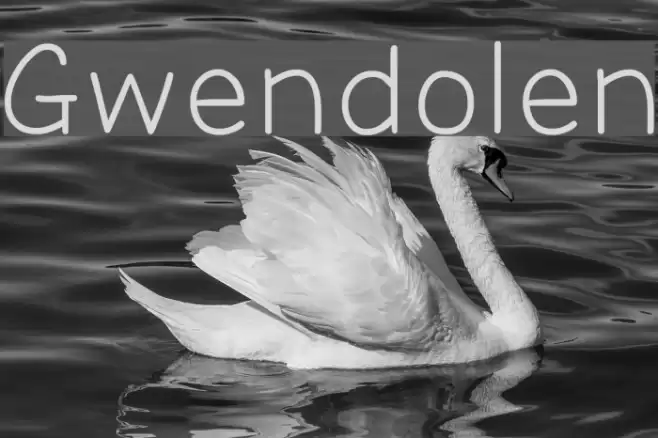 Gwendolen Font examples