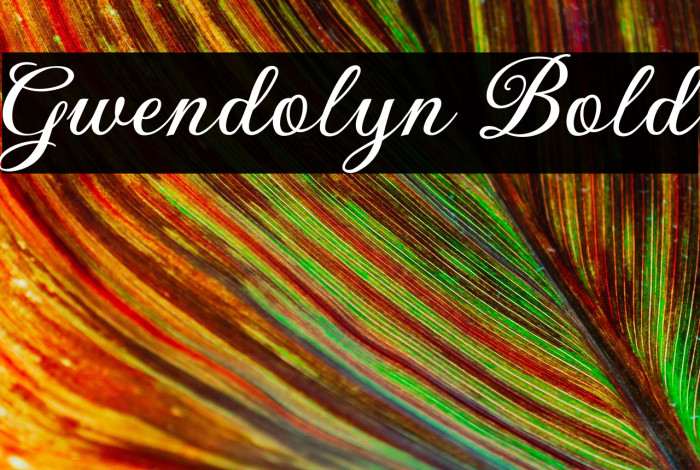 Gwendolyn Bold Example 3