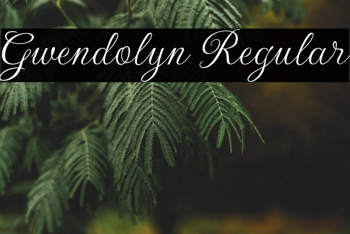 Gwendolyn Regular Example 3