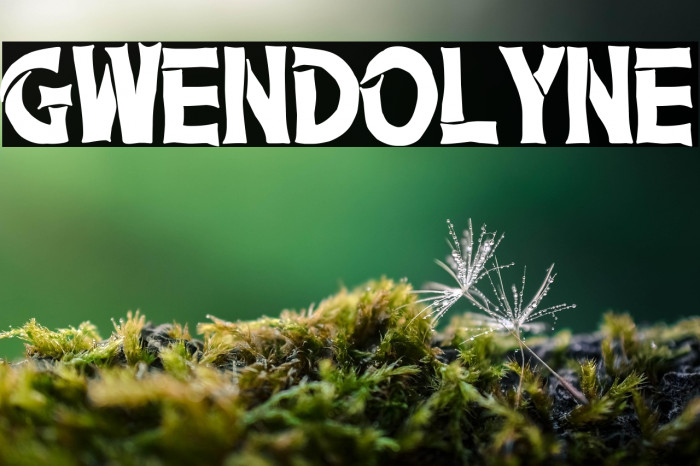 Gwendolyne Example 2