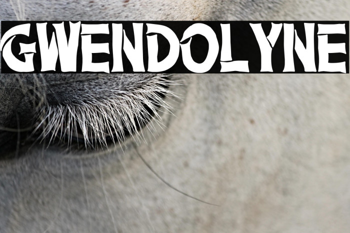 Gwendolyne Example 3