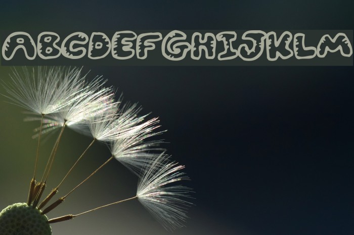 Gwibble Font examples