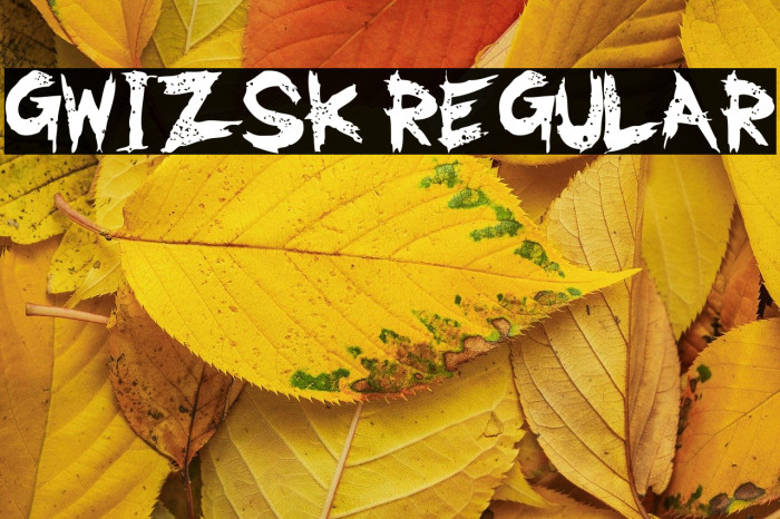 GwizsK Regular Example 2