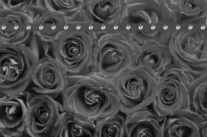 Gycentium-GOESPOP Font examples