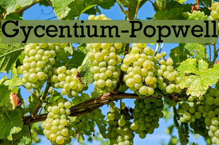 Gycentium-Popwell Font examples