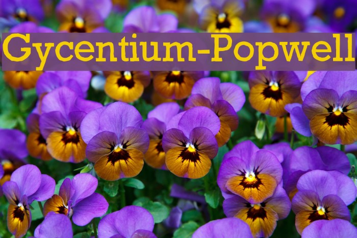 Gycentium-Popwell Font examples