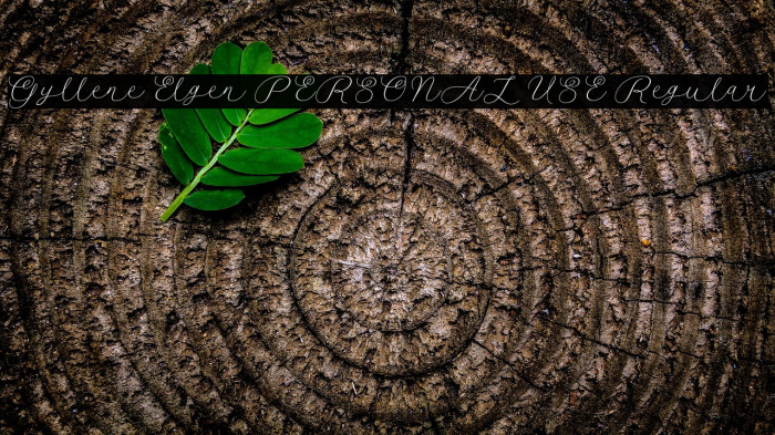 Gyllene Elgen PERSONAL USE Regular Example 1