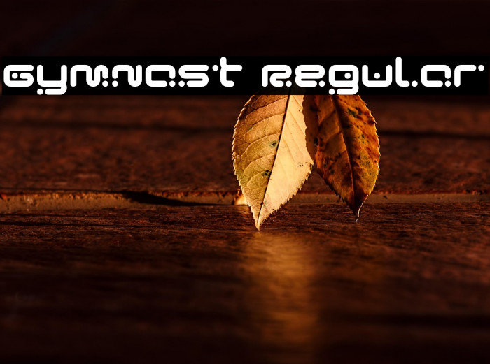 Gymnast Regular Example 2