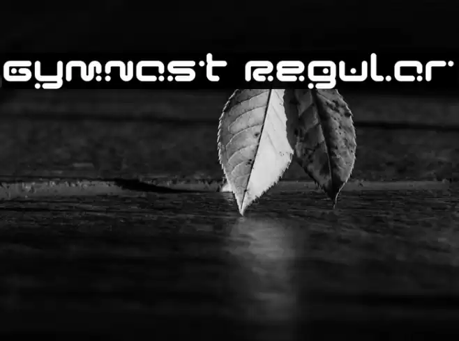 Gymnast Regular Font examples