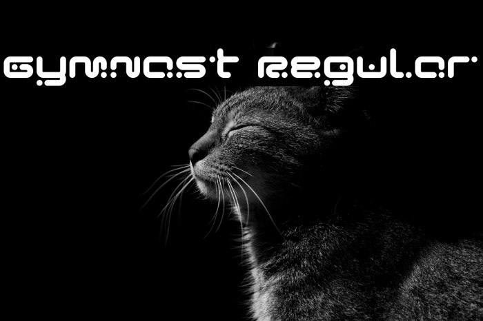 Gymnast Regular Example 3