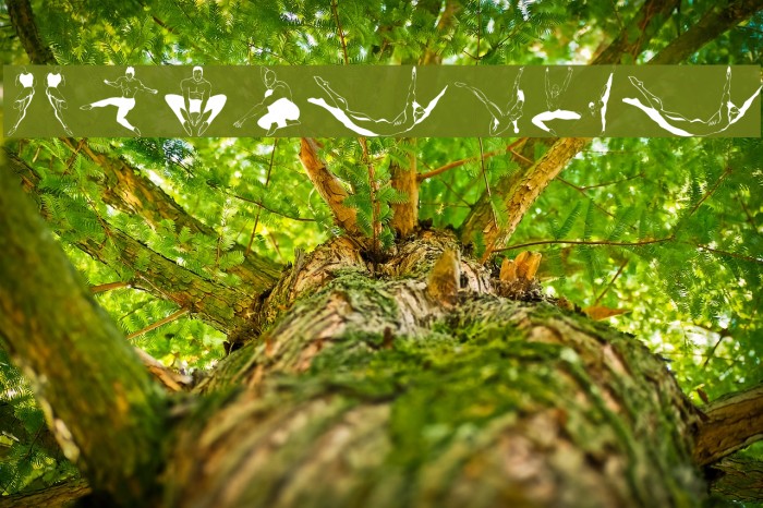 Gymnastics Example 1