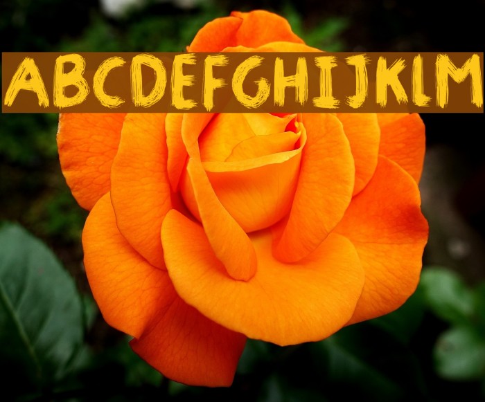 Gymnastik DEMO Regular Font examples