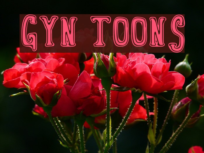 Gyn Toons Font examples