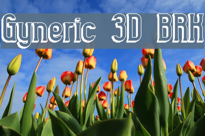 Gyneric 3D BRK Font examples