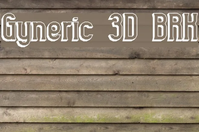 Gyneric 3D BRK Example 3