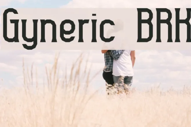 Gyneric BRK Example 1