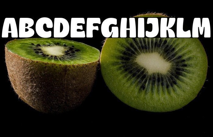 GyozaDEMO-Regular Example 2