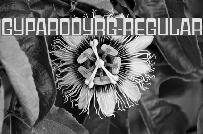 GyparodyRg-Regular Font examples