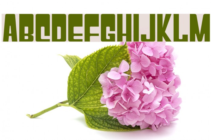 Gyparody Font examples