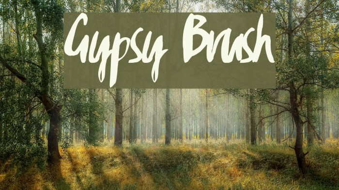 Gypsy Brush Schriftart examples
