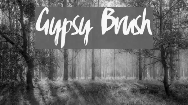 Gypsy Brush Schriftart examples