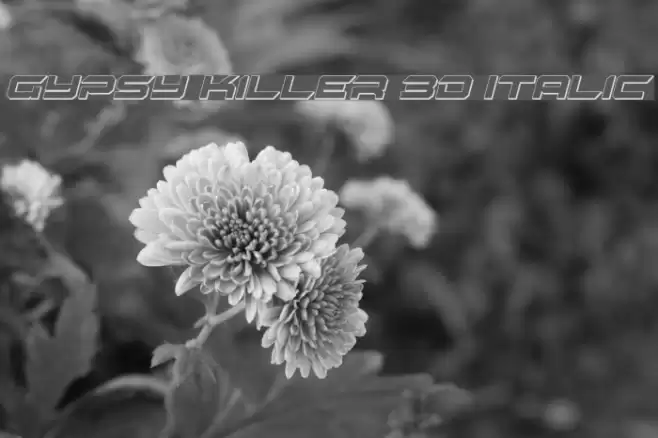 Gypsy Killer 3D Italic Font examples