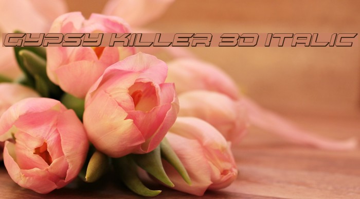 Gypsy Killer 3D Italic Example 3