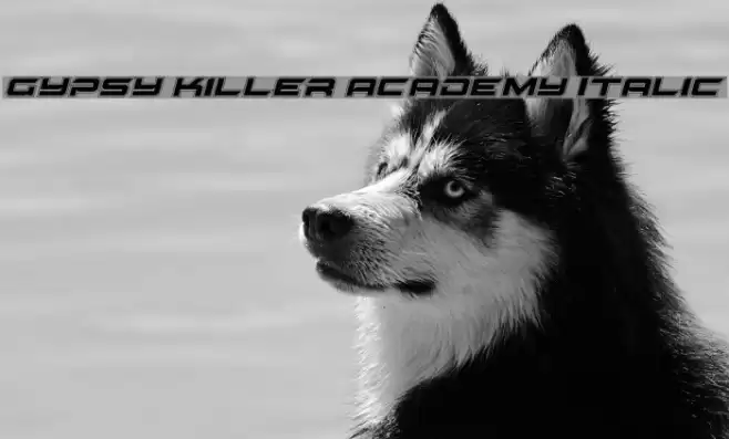 Gypsy Killer Academy Italic Font examples