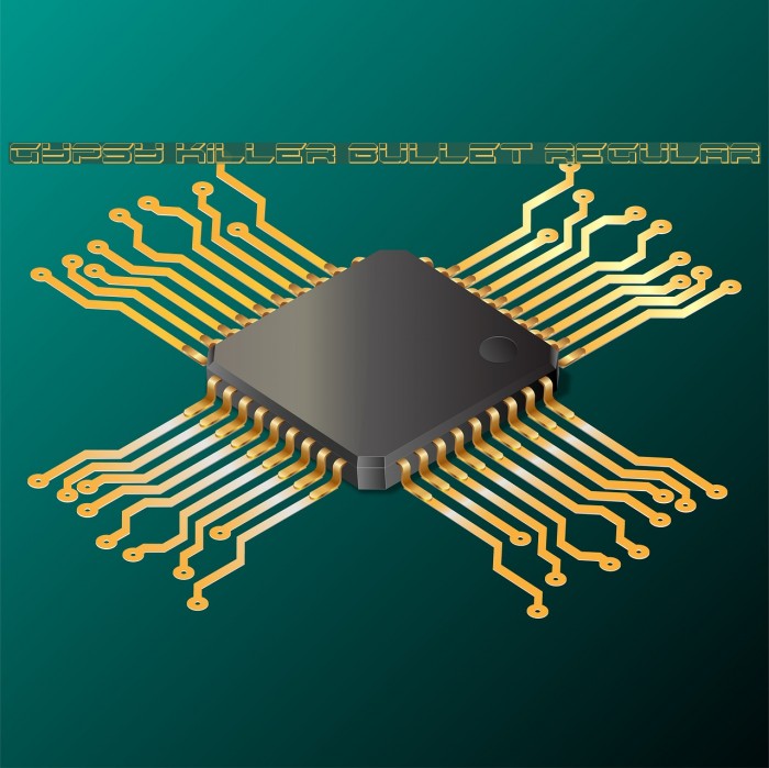 Gypsy Killer Bullet Regular Example 1