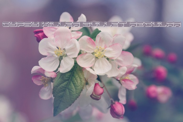 Gypsy Killer Bullet Regular Example 3