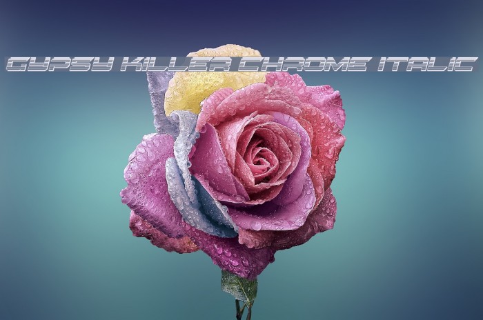 Gypsy Killer Chrome Italic Example 1