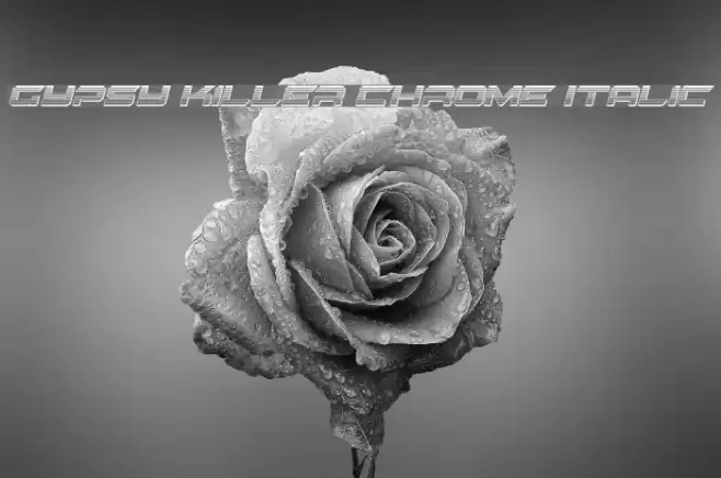 Gypsy Killer Chrome Italic Font examples
