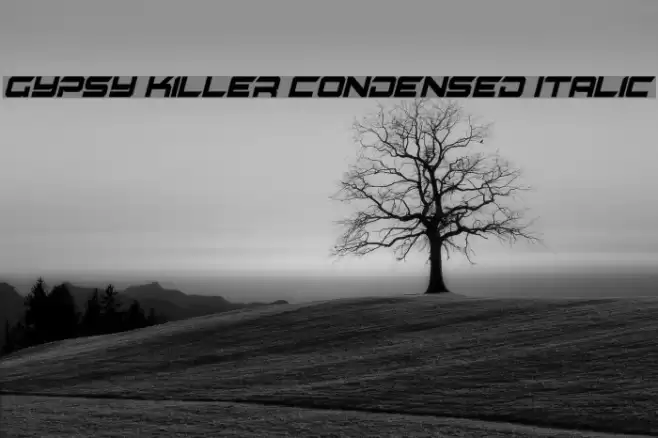 Gypsy Killer Condensed Italic Font examples