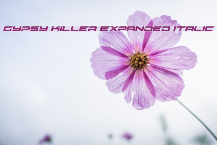 Gypsy Killer Expanded Italic Font examples