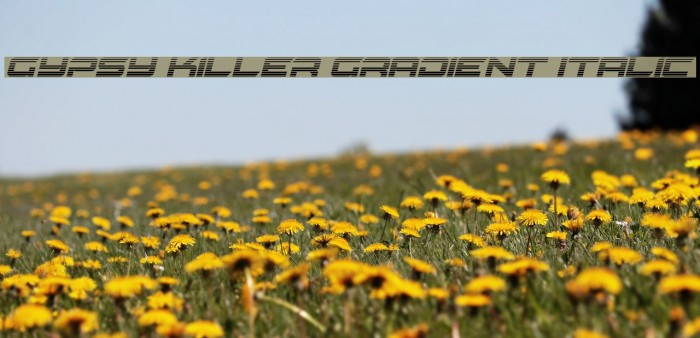 Gypsy Killer Gradient Italic Font examples