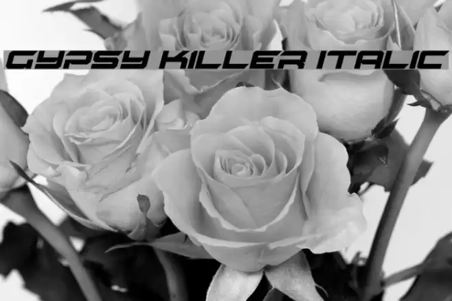 Gypsy Killer Italic examples