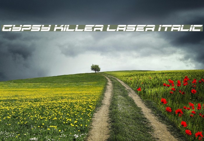 Gypsy Killer Laser Italic Font examples