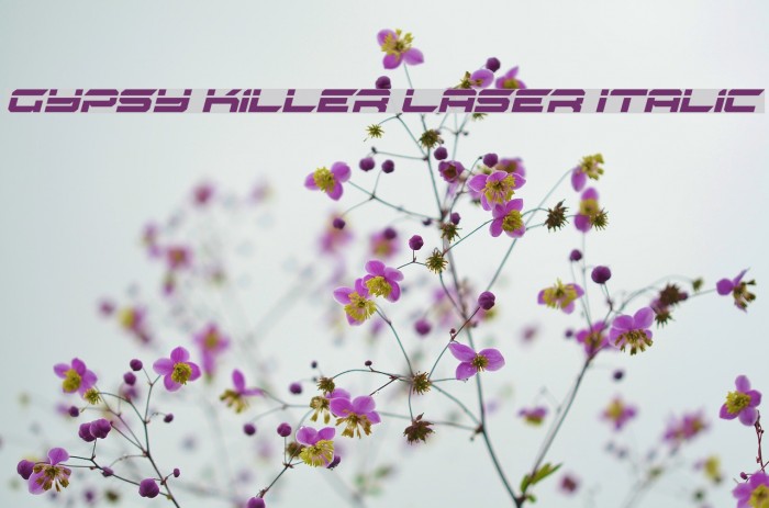 Gypsy Killer Laser Italic Font examples