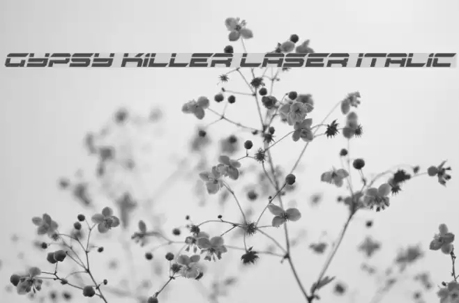 Gypsy Killer Laser Italic Font examples