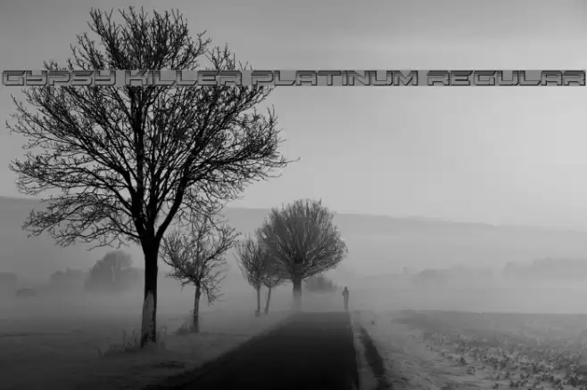 Gypsy Killer Platinum Regular Schriftart examples