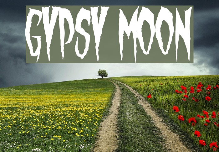 Gypsy Moon Шрифта examples