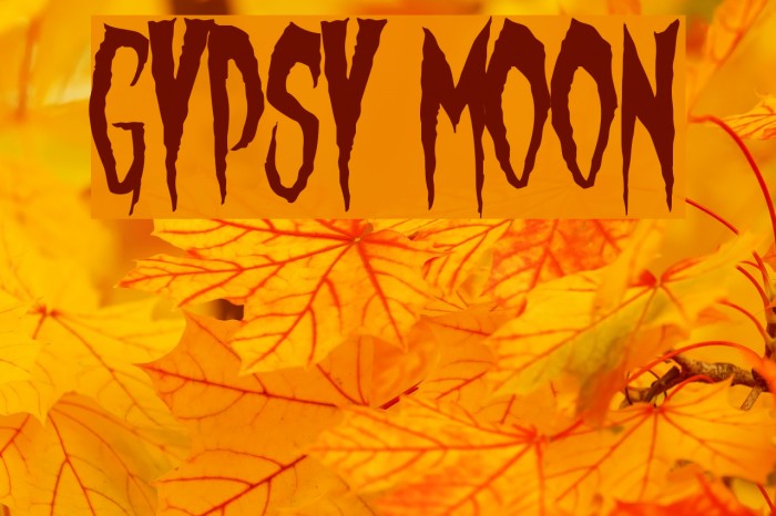 Gypsy Moon Шрифта examples