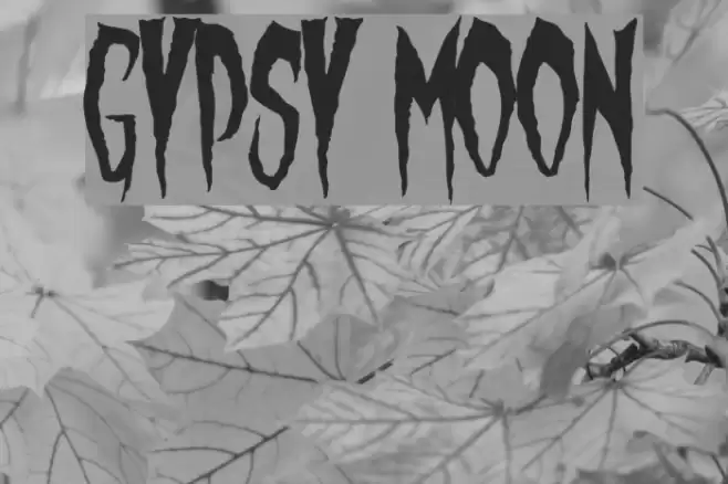 Gypsy Moon Шрифта examples
